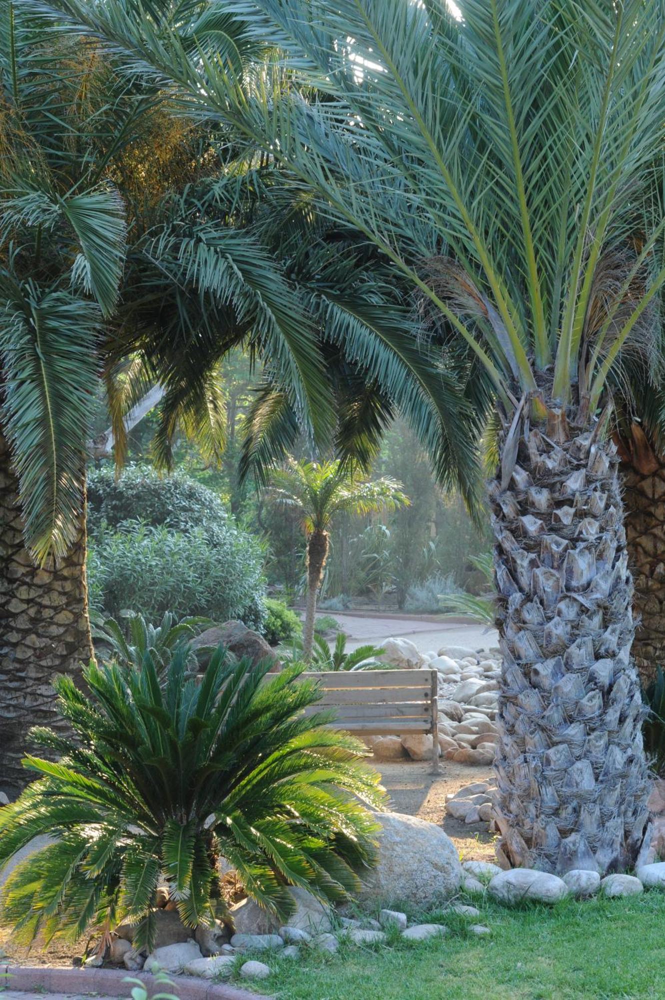 Hôtel Le Belvédère Porto Vecchio Exterior foto